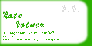 mate volner business card